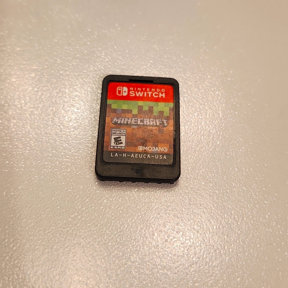 Nintendo Switch Game
